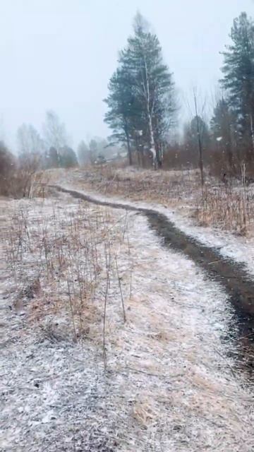 Люблю как Гуф трамваи