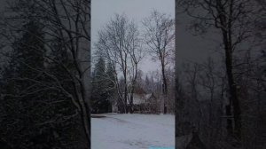 Усадьба "Абрамцево"