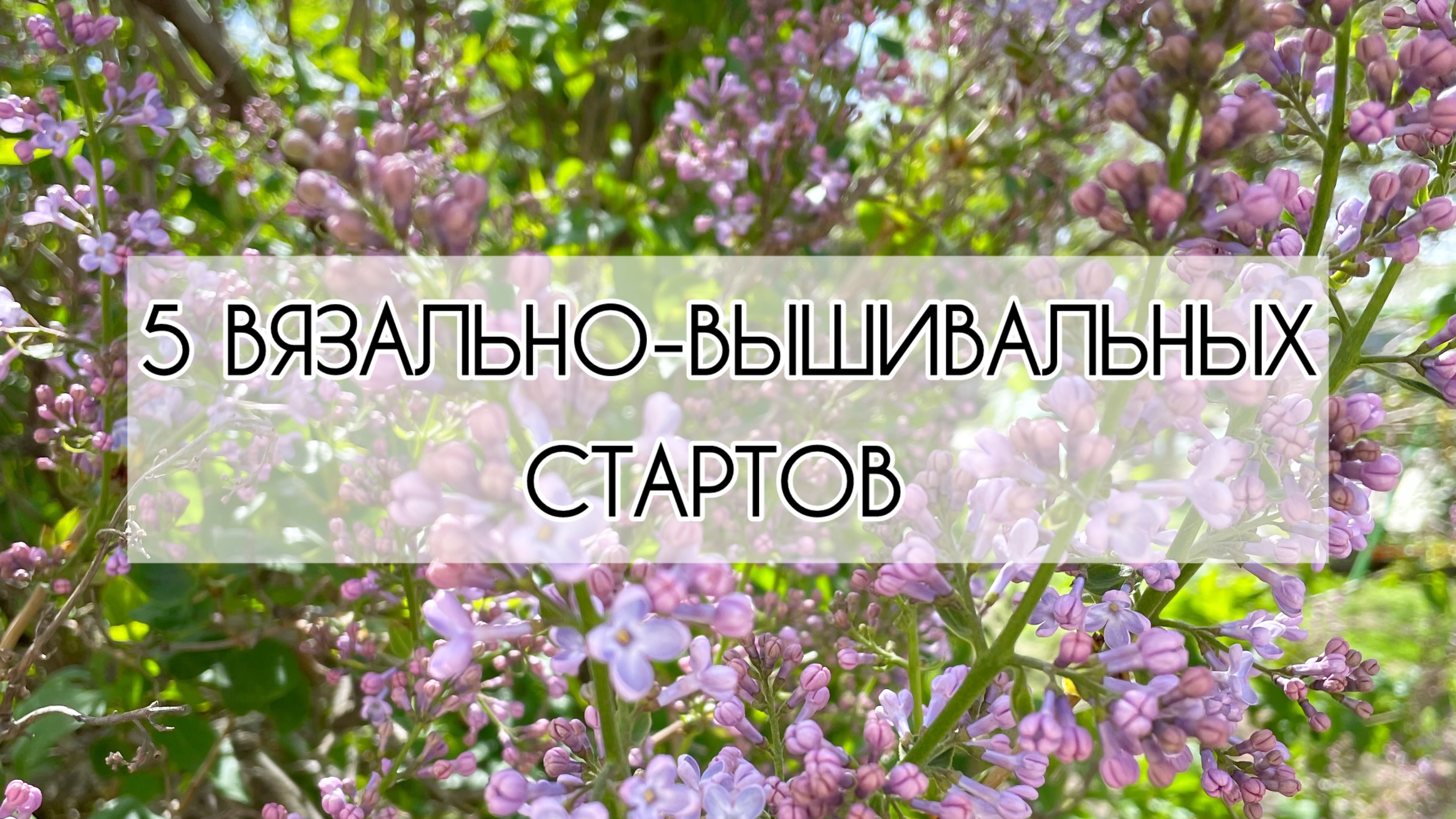 Влог /21-23.04.25г/ Хорошие продвижения и 5 стартов за 3 дня!!! Вяжу и вышиваю 🧶🧵