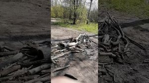 Хождение по парку в Красносельском районе, природа и погода 2 мая 2025