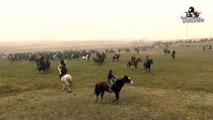 КАТТА УЛОК КОПКАРИ НАМАНГАН ТУРАКОРГОН ДЕНГИЗ ТУЛПОРИ МАЙДОНИДА ЧЕМПИОН ШОХЖАХОН МЕХМОНДА.