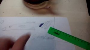 Отличаем самца и самку а креветки потом