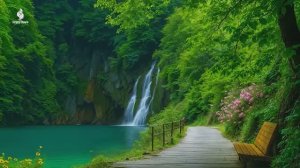 Успокаивающая фортепианная музыка 🌿 Избавьтесь от беспокойства и погрузитесь в умиротворение