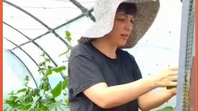 Это дикие люди на сеновале смотреть онлайн