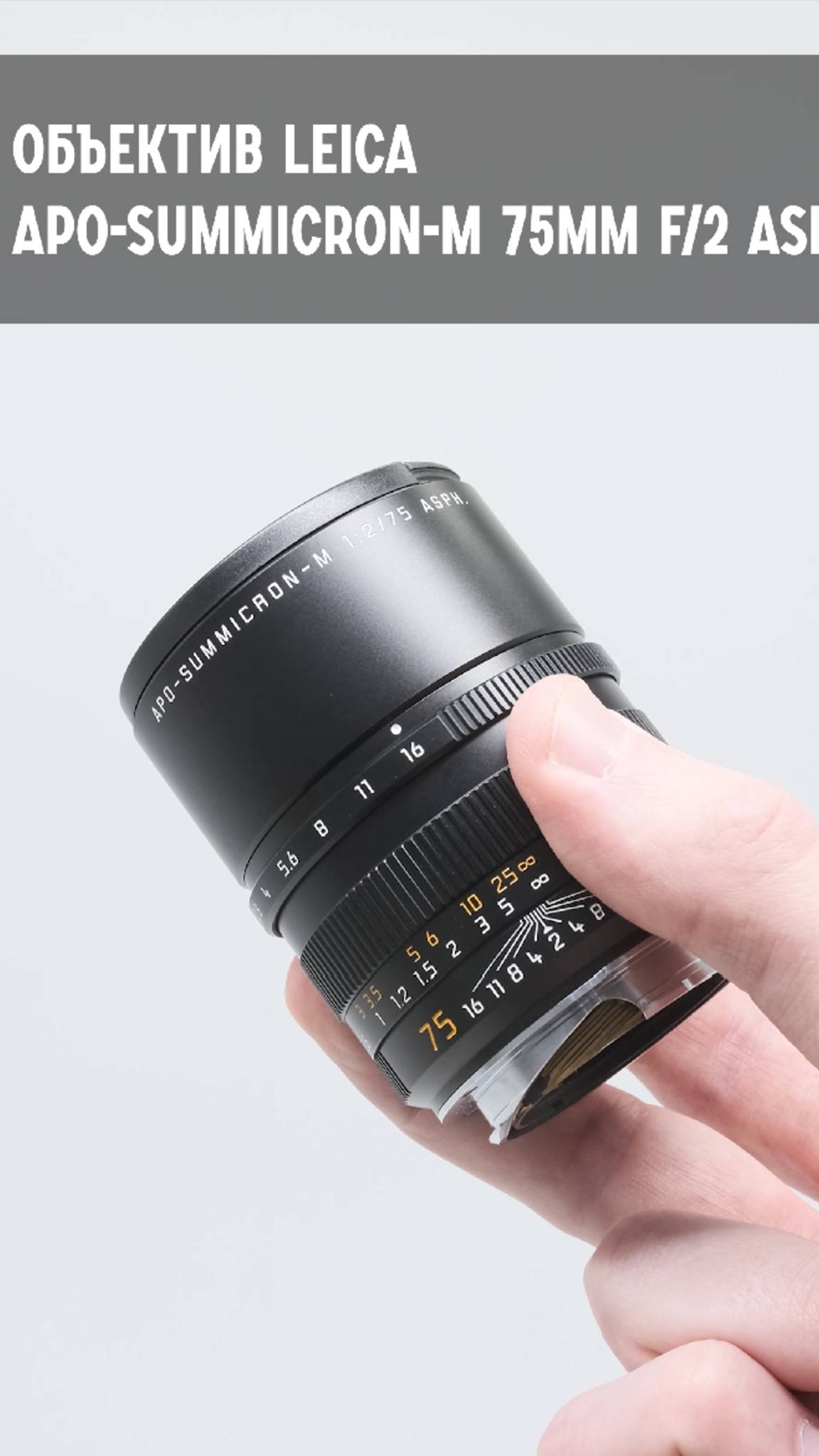 Leica APO-Summicron-M 75mm f/2 Asph