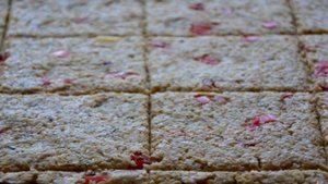 Крекеры со сливочно-грибным кремом