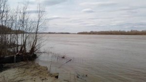 Половодье Вагайский р-н. 2025 (видео)