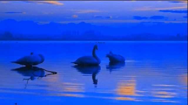 Ең үлкен қателік... Кемшіліктер туралы афоризмдер смотреть онлайн