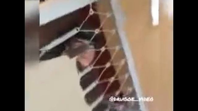 СМЕШНЫЕ РОЛИКИ ФЕВРАЛЬ 2018 | КРАСИВЫЕ ДЕВУШКИ | FUNNY WORLD | УБОЙНЫЕ РОЛИКИ 2018 | РЖАКА смотреть онлайн