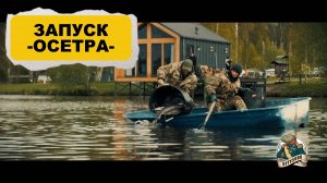 Запуск осетра 150 кг. 02.05.2025