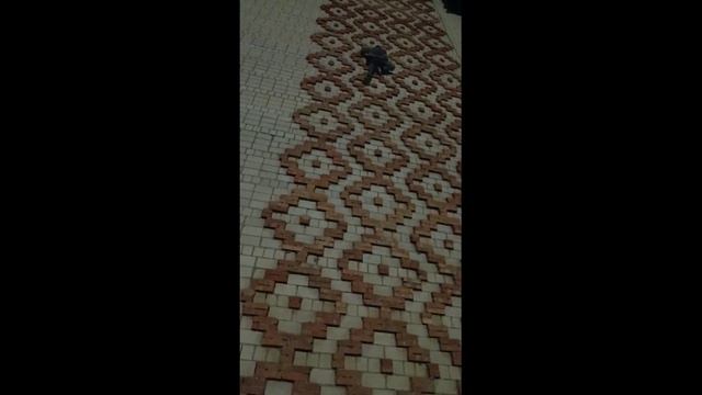 Декабристов 4 смотреть онлайн