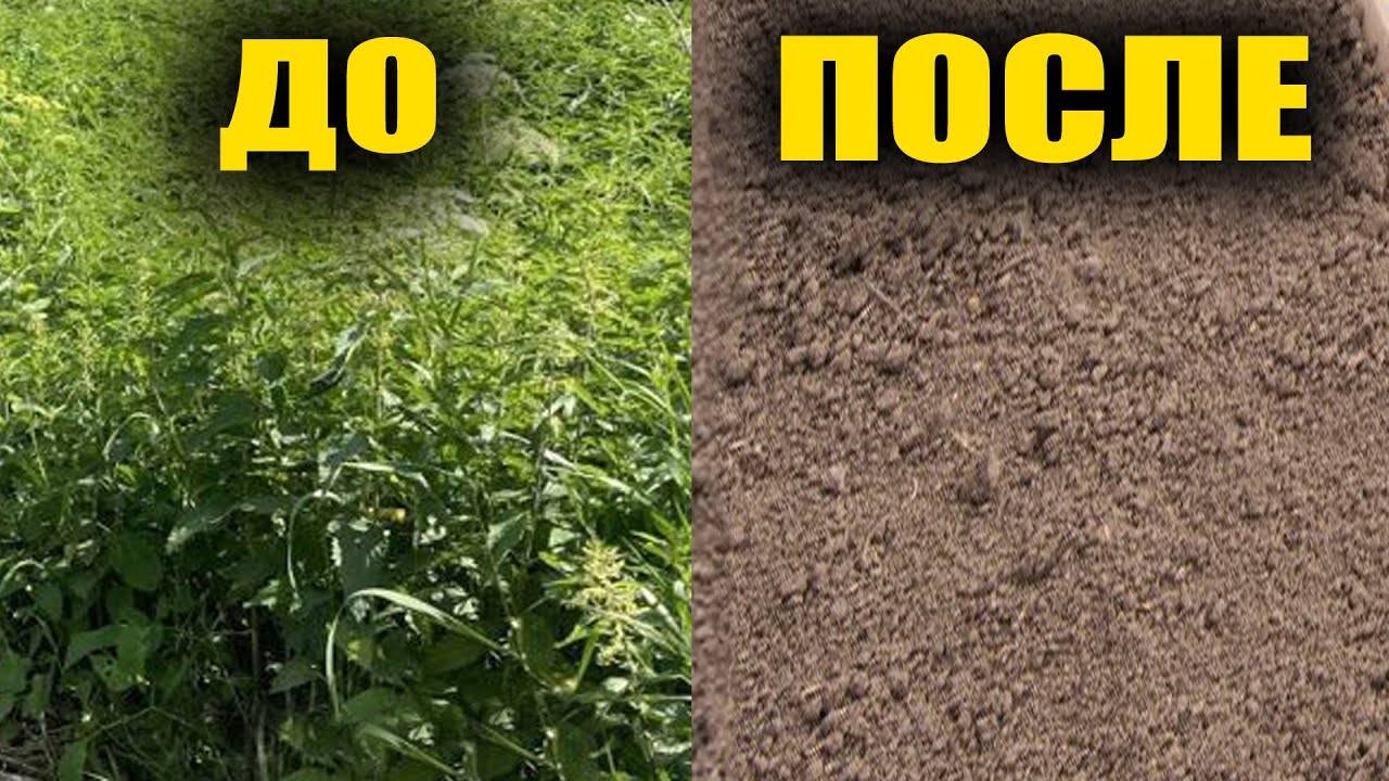 Избавилась от сорняков навсегда! Простой и эффективный способ