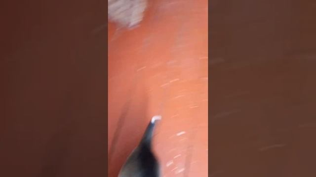 6 января 2022 г. смотреть онлайн