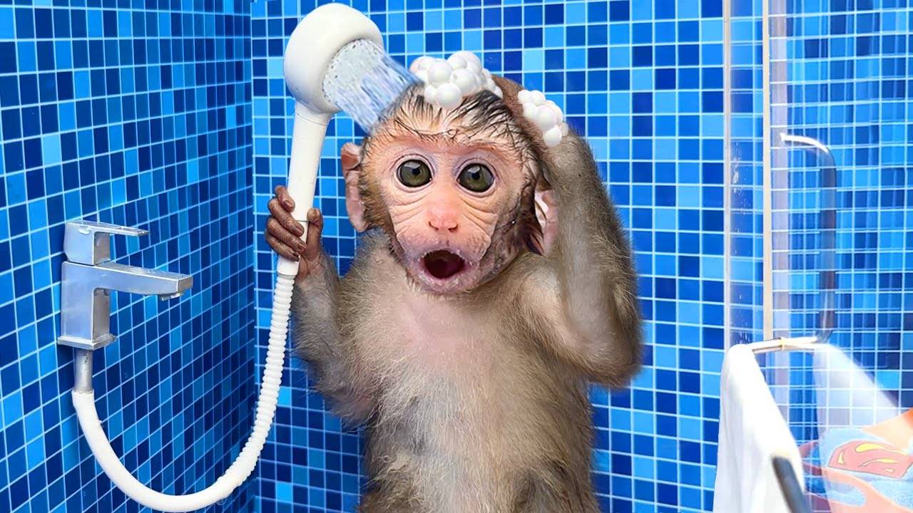 🐵Малышка обезьянка Бон-Бон купается и играет с утятами в бассейне! Фильм для детей онлайн