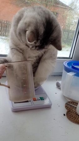Второе мая, три с хвостиком 😼