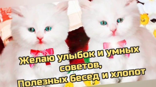 УДАЧНОЙ РАБОЧЕЙ НЕДЕЛИ! #доброеутро #сдобрымутром #открыткисдобрымутром