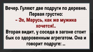 Как Девки с Быком Развлекались! Сборник Свежих Анекдотов! Юмор!