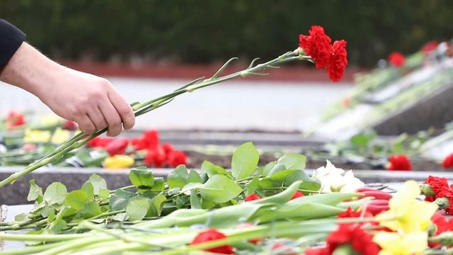 Помним и скорбим смотреть онлайн