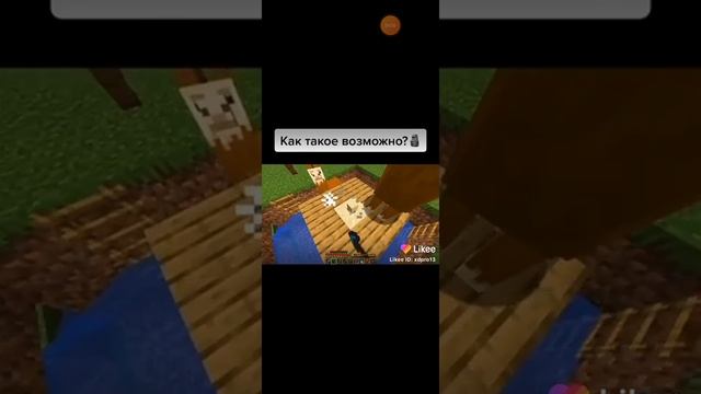 Лайки браво Старс приколы