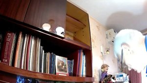 Замена и регулировка мебельных петель.