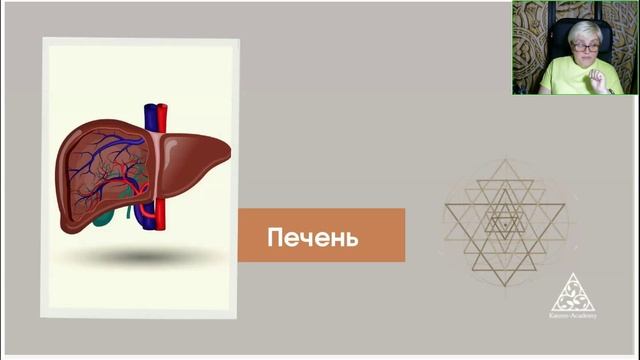 Вера Грачева. Энергии молодости. Методы восстановления Внутренних органов и систем[2025-05-01]