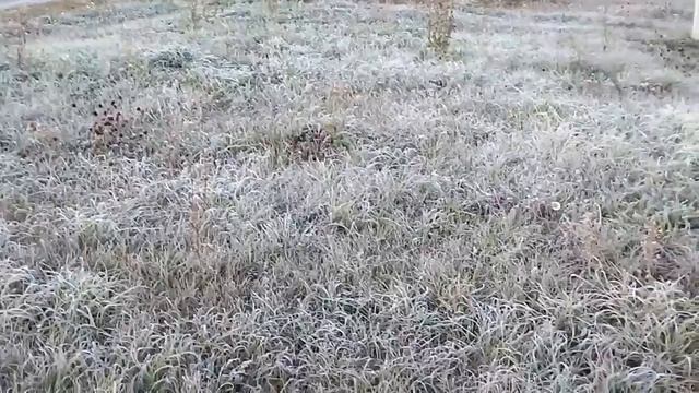 Утро☀️ Первые заморозки☀️Бабье лето продолжается 🏡Домик в деревне. 23.09.24