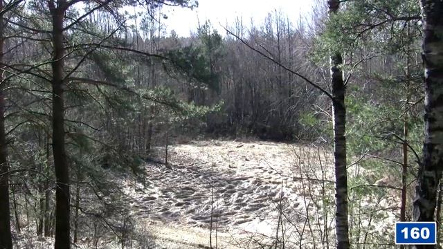 Поход к бобровым хаткам.(бобров мы не увидели!!!!) смотреть онлайн