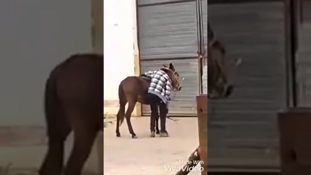 Адыги на нашем земле смотреть онлайн