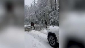 В Москву вернулась зимняя погода