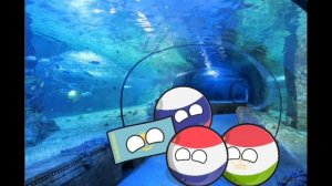 Школа контриболз страны 4 эпизод все сезоны | Секретная сцена #capcut #contryballs #страны  #школа.