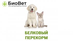 Белковый перекорм