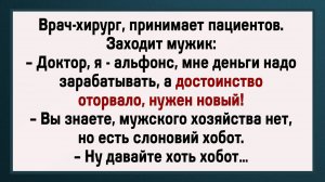 Как Мужику Хобот Пришили! Сборник Свежих Анекдотов! Юмор!