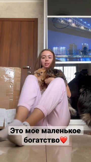 #израиль #померанский #шпиц #шпицуля #померанскийшпиц #любовь #любовькживотным смотреть онлайн