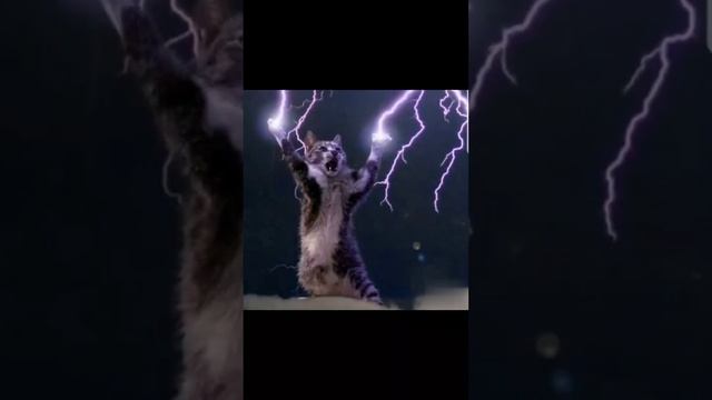Котики рокеры)нейросеть