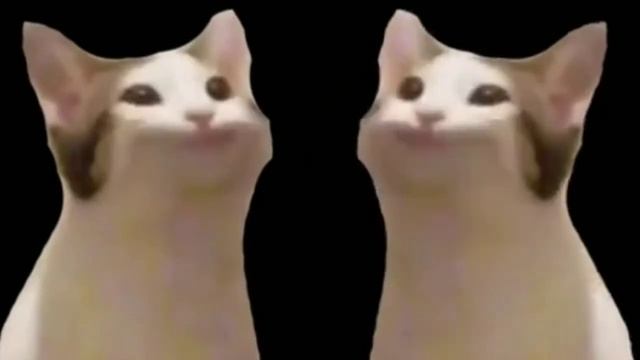 всем шизы за мой счёт