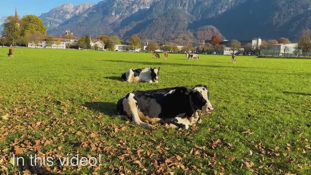 Швейцария 🇨🇭 Прогулки осенью по Интерлакену 🍁 Красивый швейцарский городок