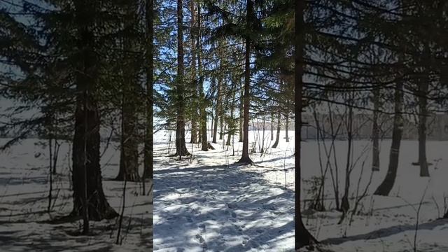 Занесло дорогу снегом смотреть онлайн