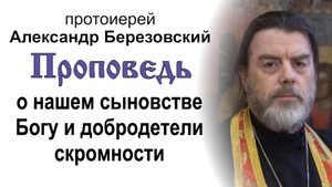 Проповедь о нашем сыновстве Богу и добродетели скромности (2025.05.02). Прот. Александр Березовский