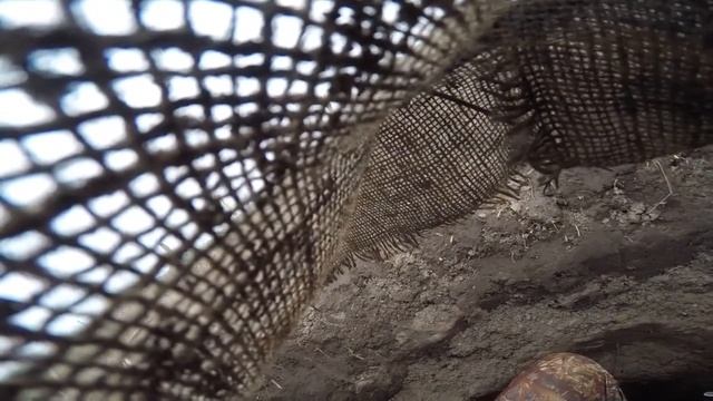 охота Мордовия 2017 смотреть онлайн