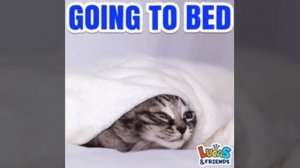 спокойной ночи (2 часть )