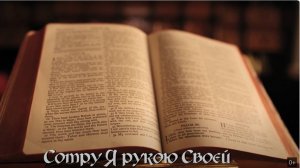 Келья | Дарина Кочанжи