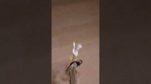 хоббихорсинг! тренировка на Снегопаде) 🐴❄