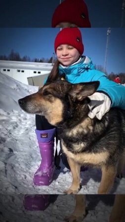 Собака по имени Груша