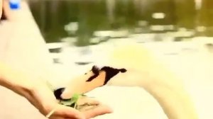 NICKBROKE & КАТЯ ЧИСТОВА& АННА МОРЯЧКА - CУПЕР ТРЕК -,НЕБЕСА, САМАЯ ЛУЧШАЯ ПЕСНЯ В МИРЕ