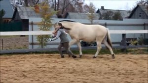 Конкурный семинар 24-25 октября 2015 (КСБ Маргошин дом)