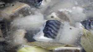 Скумбрия в соусе киндзмари