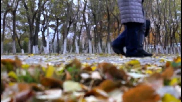 Жастық шақ. Авторы: Онаш Мажитова смотреть онлайн