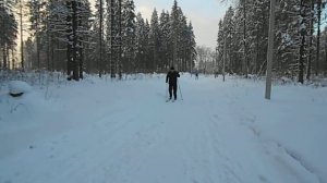 Езда на лыжах с помощью ноги и протеза.