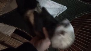 Ержан, вставай