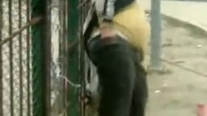 Ну как можно так нажраться